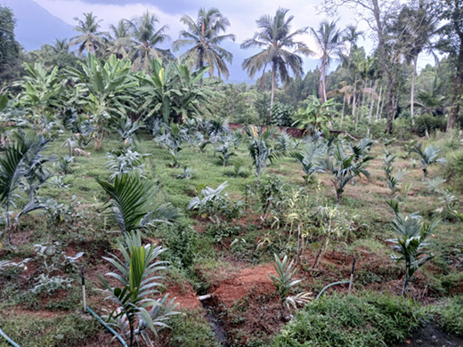 Kuthluru School